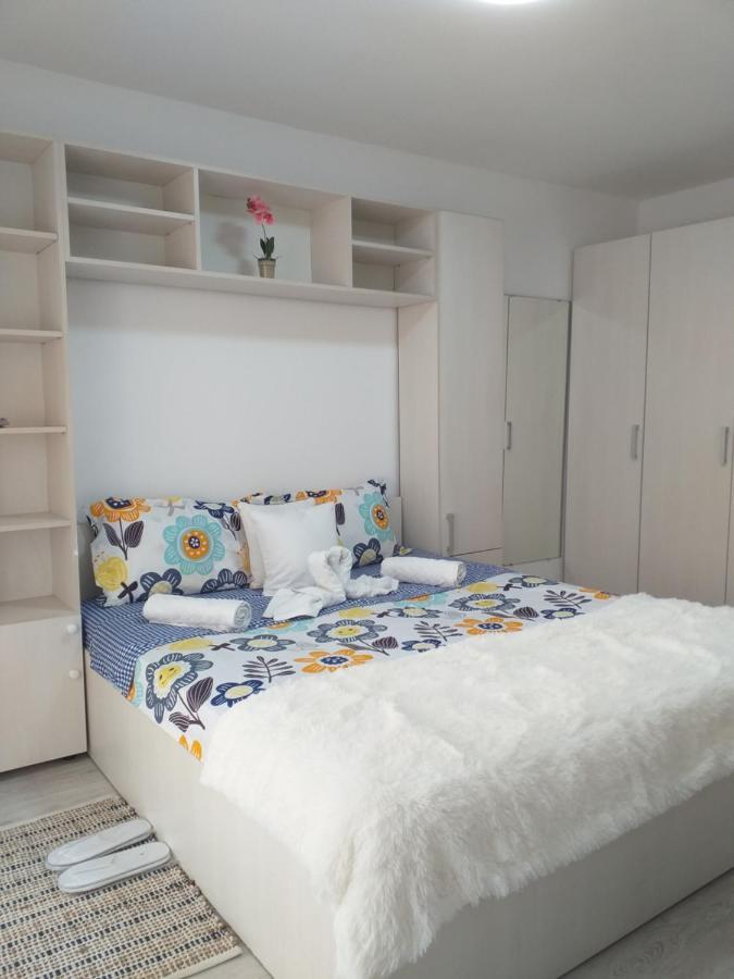 Epic Apartment Тимишоара Экстерьер фото