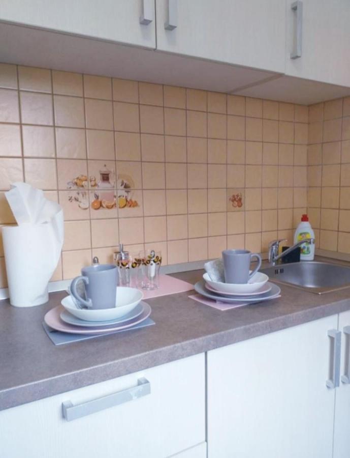 Epic Apartment Тимишоара Экстерьер фото