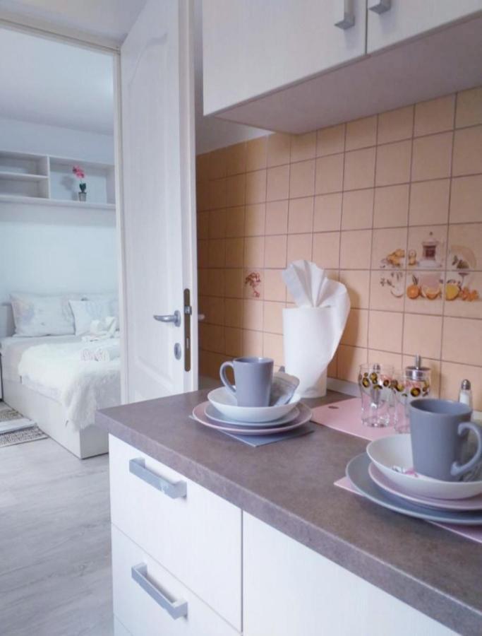 Epic Apartment Тимишоара Экстерьер фото